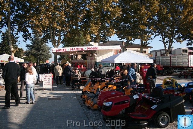 In prà della Antica Fiera di Arsego (64).JPG